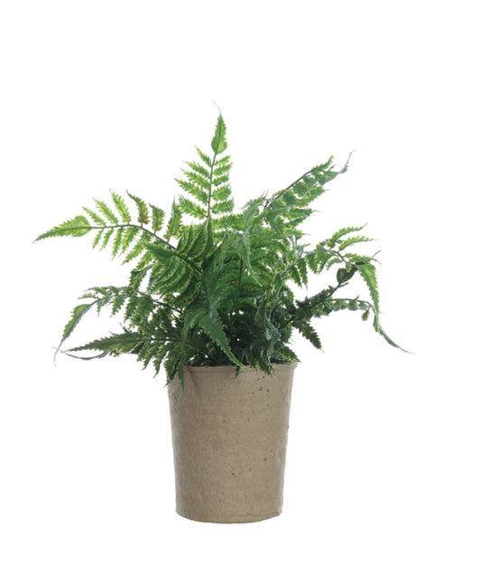 Faux Fern in Paper Pot