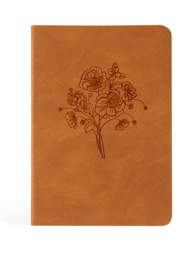 Amelia Notebook