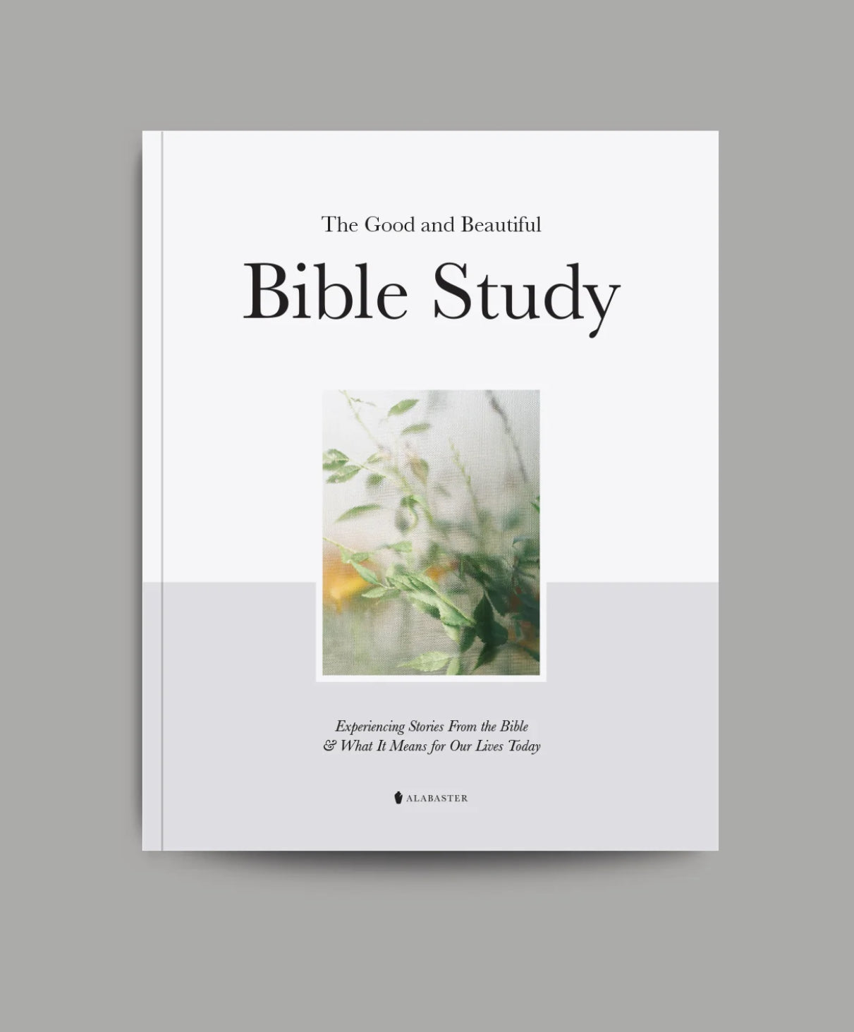 The Good and Beautiful Bible Study