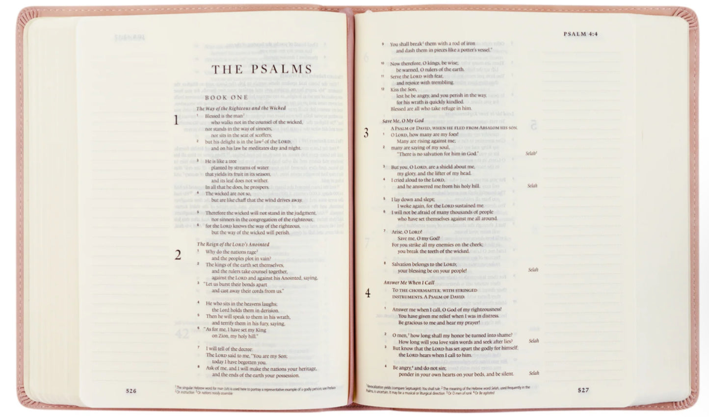 ESV Shiloh Study Bible