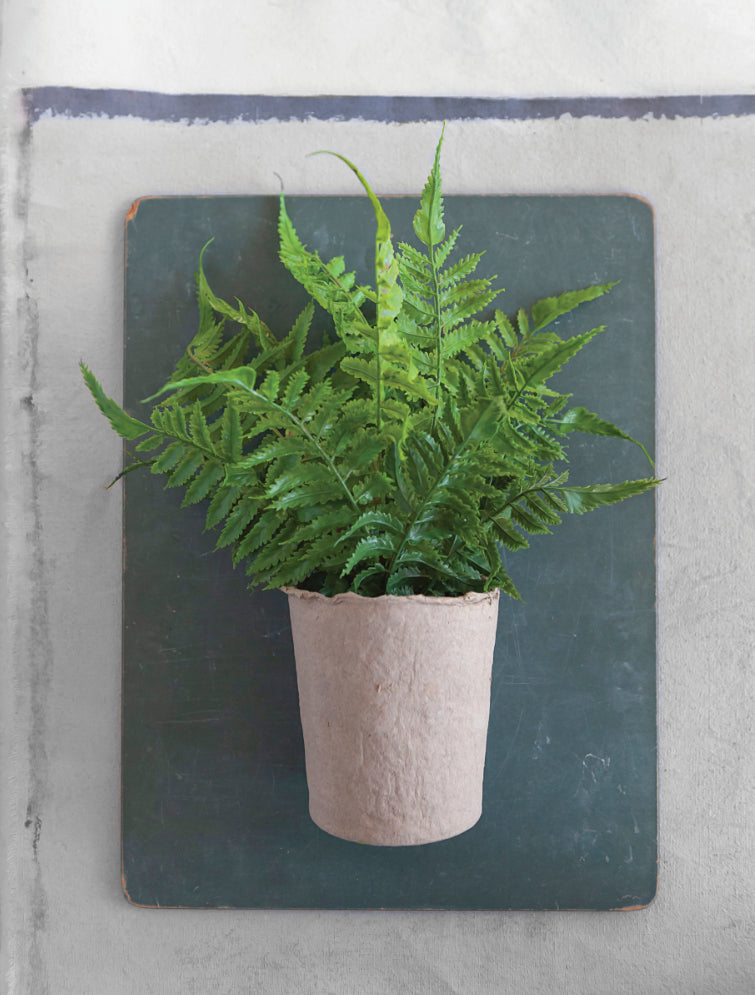 Faux Fern in Paper Pot