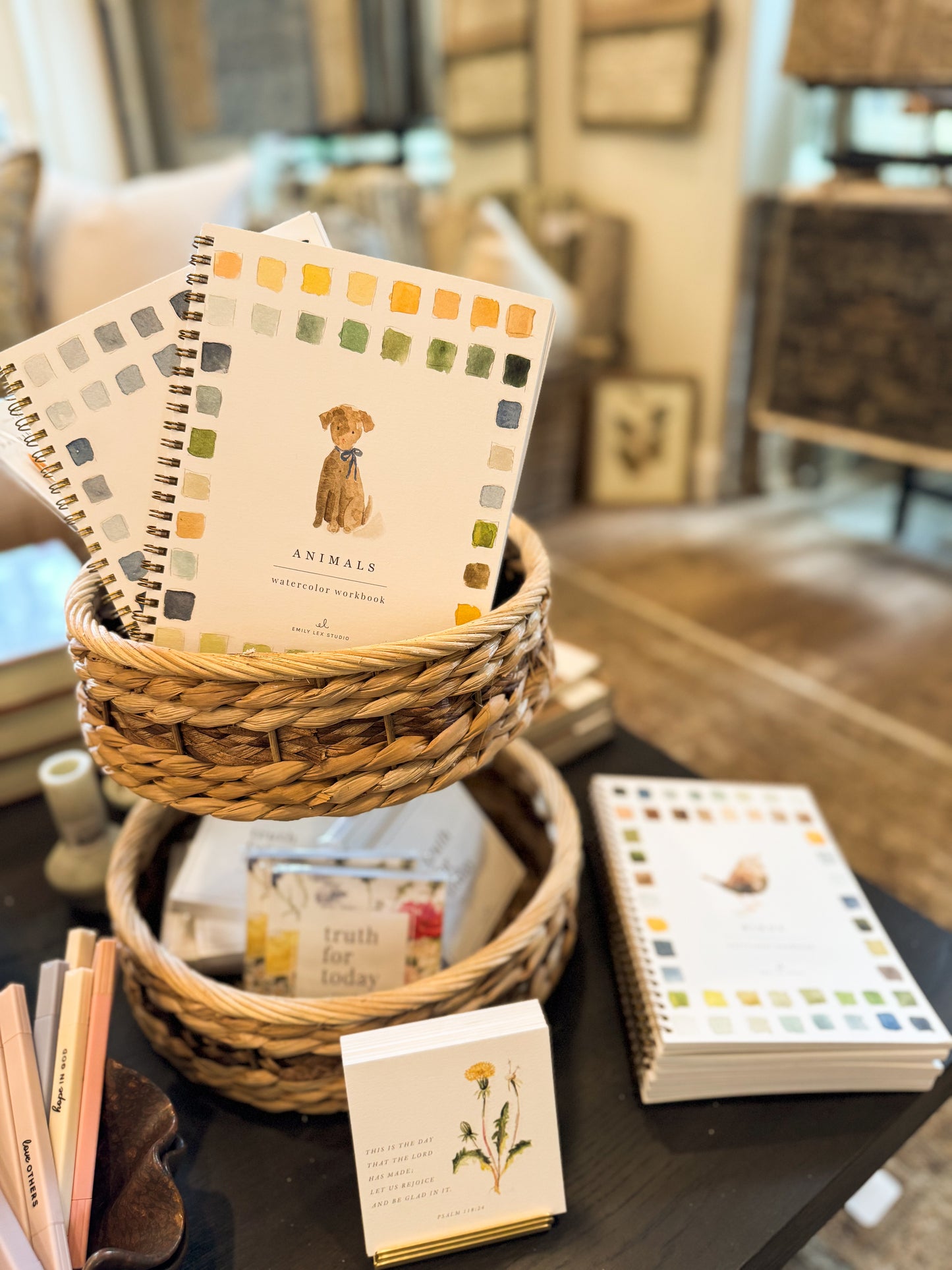 Animals watercolor workbook