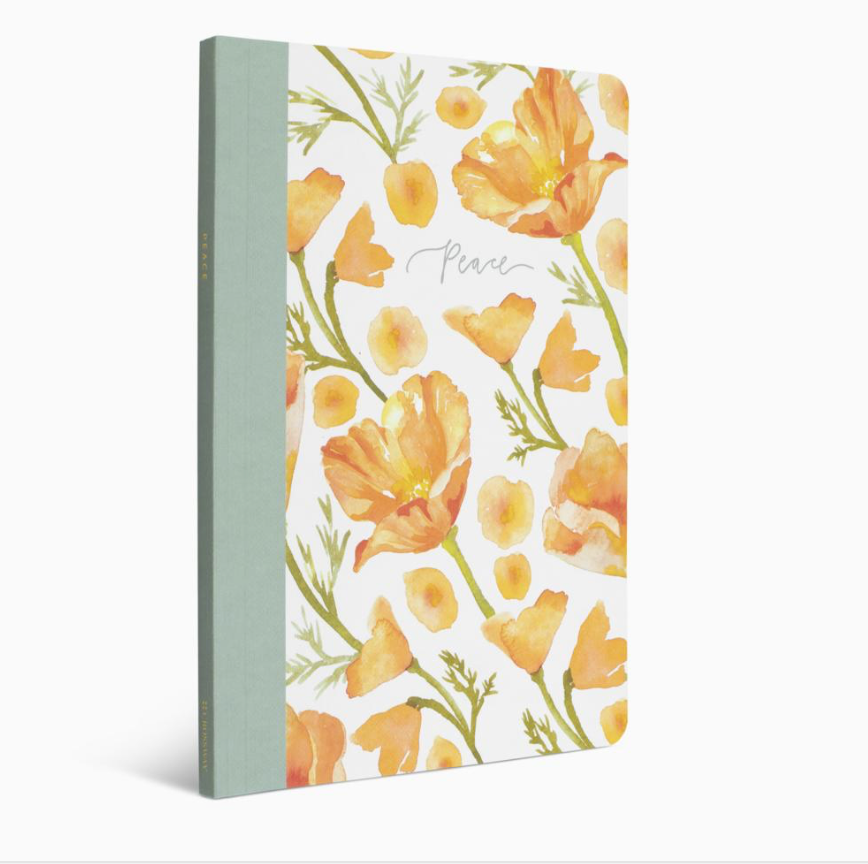 ESV Prayer Journal: 30 Days on Peace