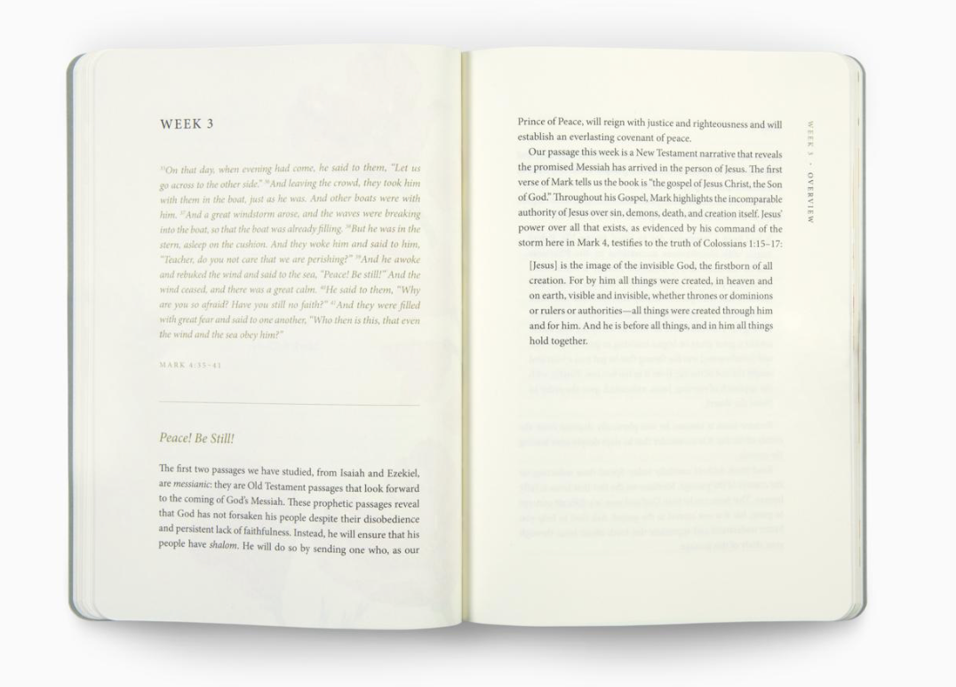 ESV Prayer Journal: 30 Days on Peace