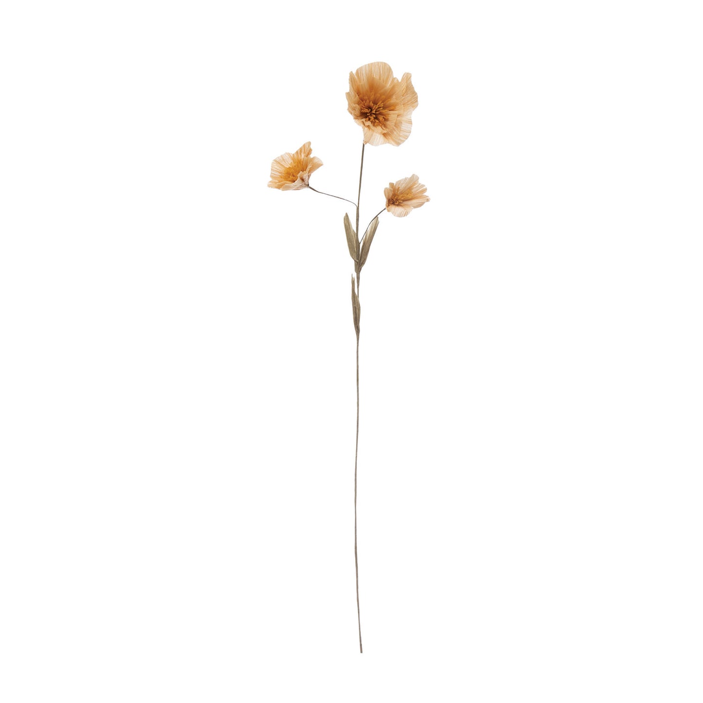 Floral Stems