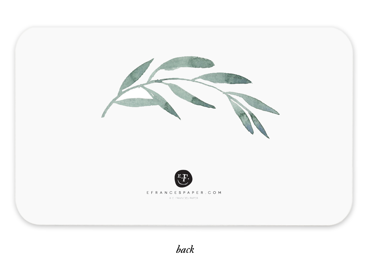 Olive Branch Little Notes