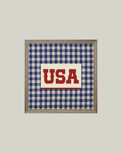 Plaid USA Framed Antique Art