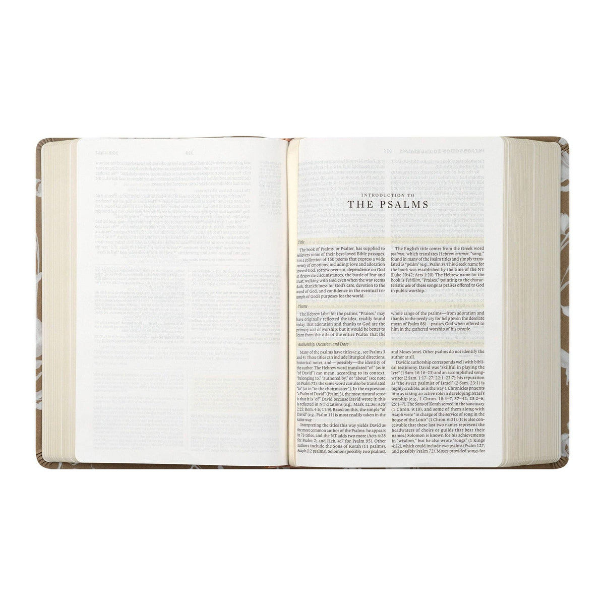 ESV Study Bible: Manila Theme