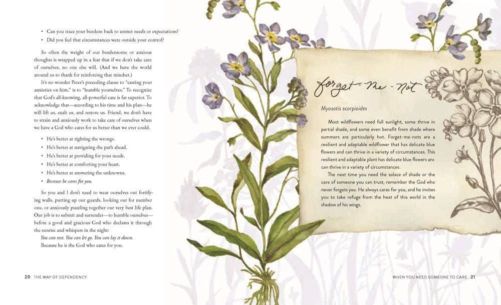 The Way of the Wildflower : Gospel Meditations to Unburden