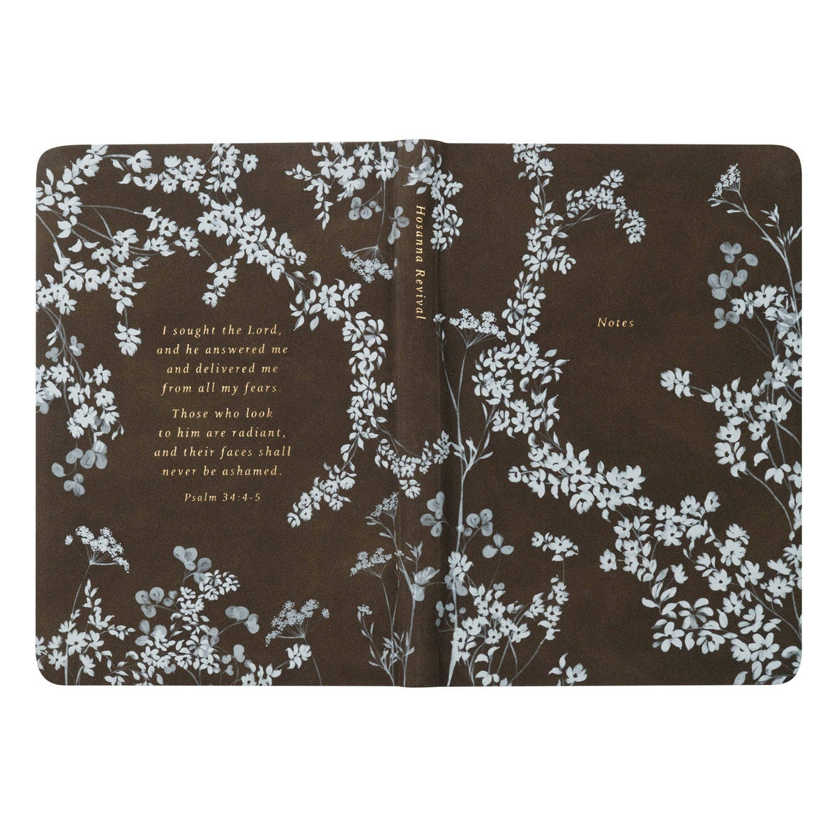 Notebook: Lijiang Theme