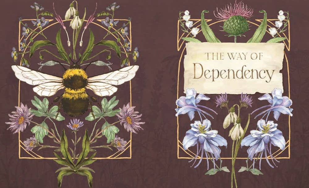 The Way of the Wildflower : Gospel Meditations to Unburden