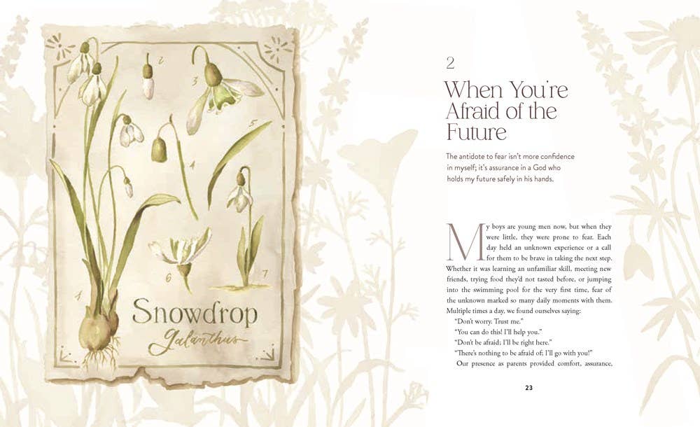 The Way of the Wildflower : Gospel Meditations to Unburden