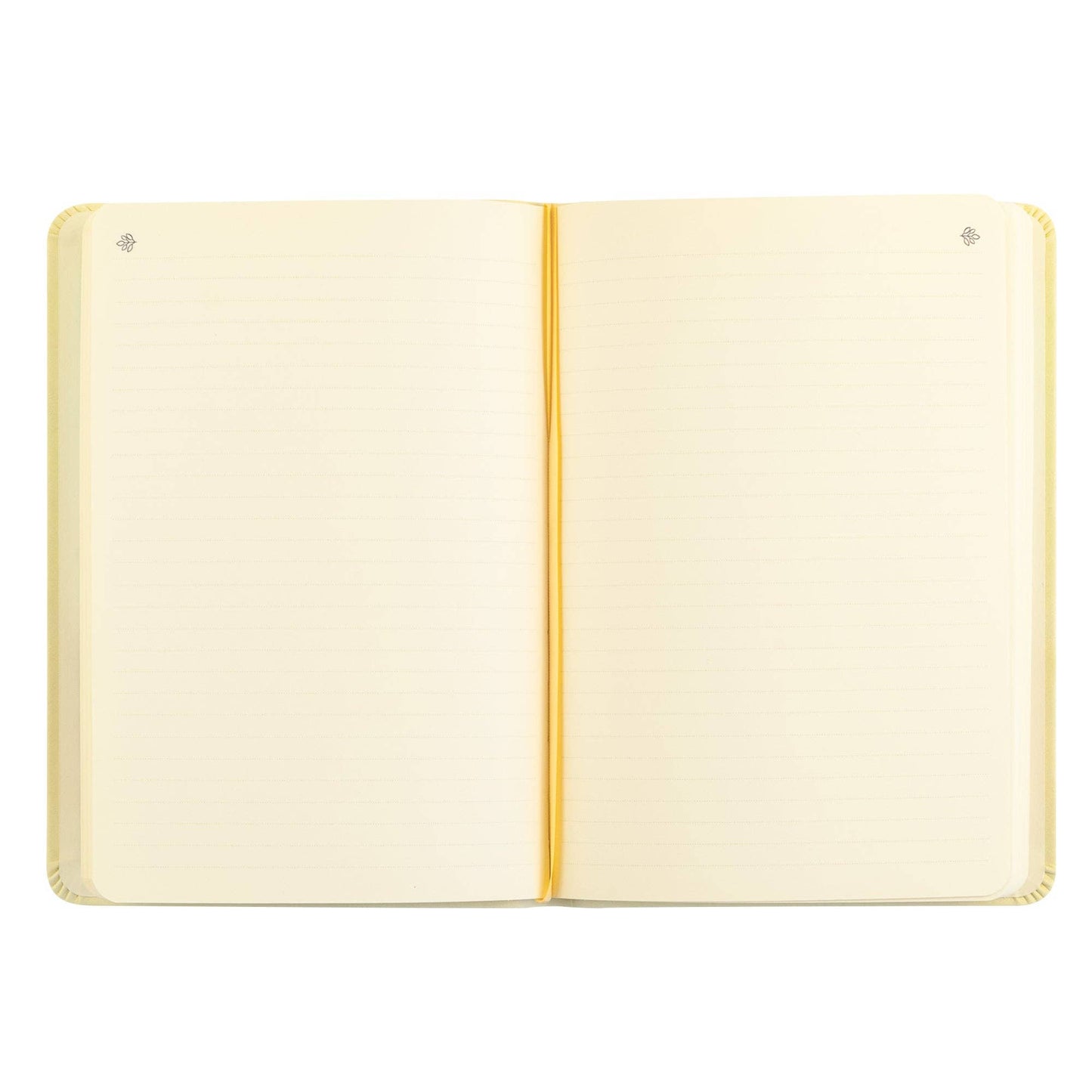 Notebook: Belfast Theme