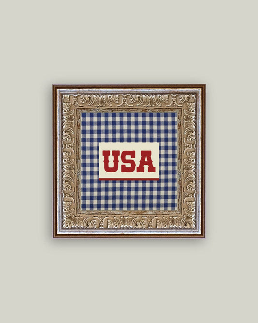Plaid USA Framed Antique Art
