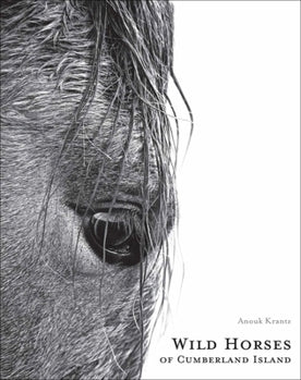 WILD HORSES OF CUMBERLAND ISLAND