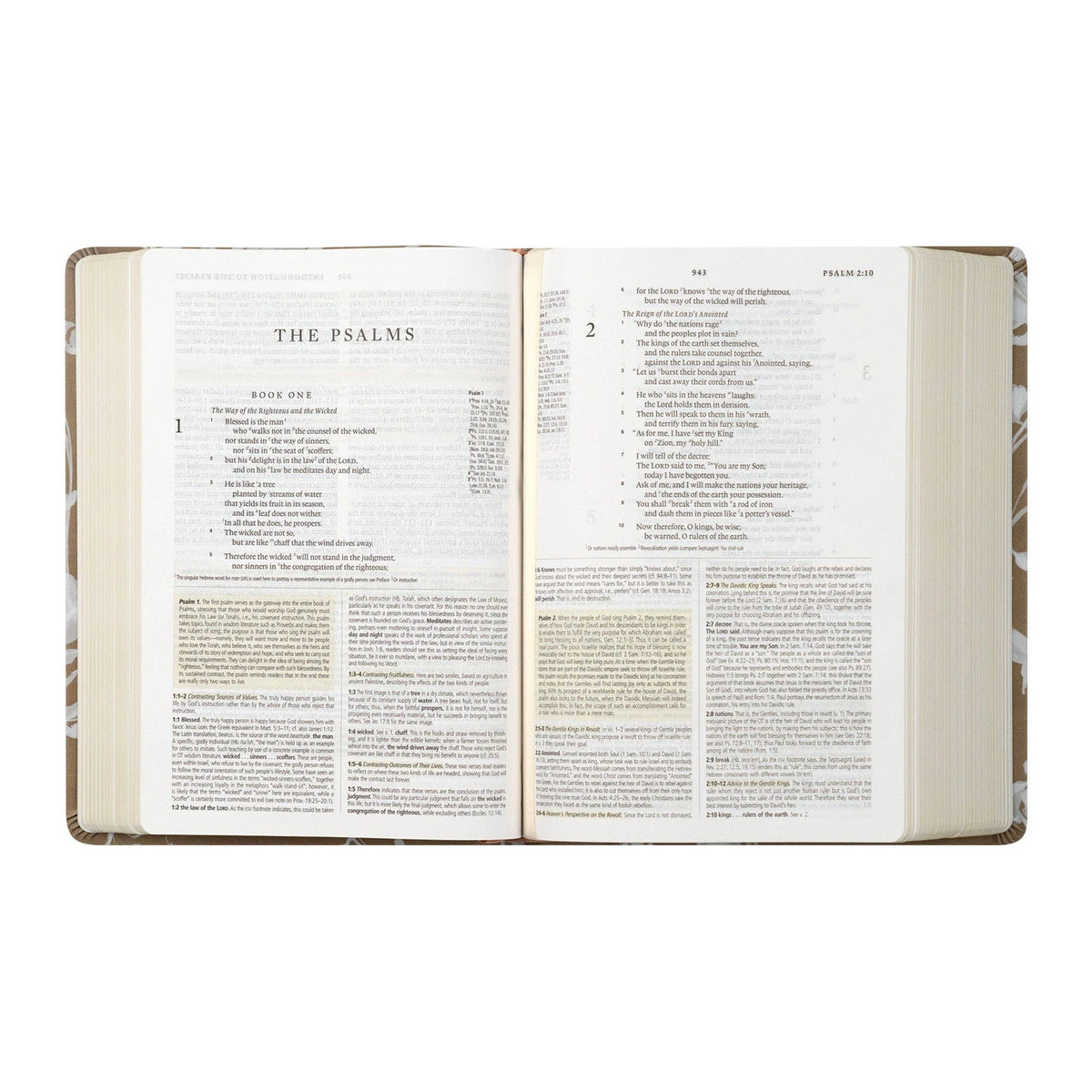 ESV Study Bible: Manila Theme