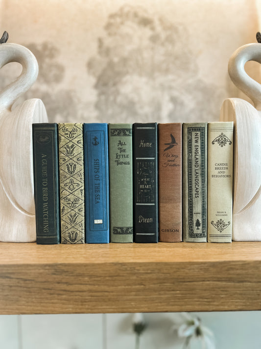 Book Storage Box