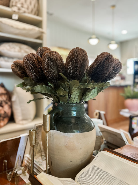 Banksia Floral Stem Brown