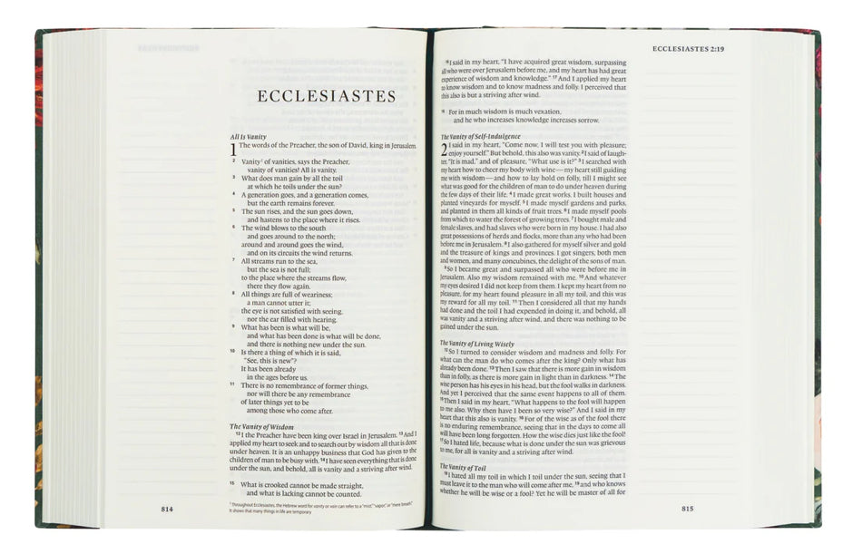 ESV Large Print Bible - Hollis