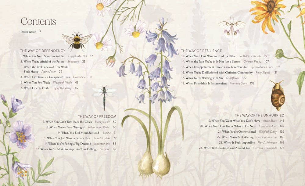 The Way of the Wildflower : Gospel Meditations to Unburden