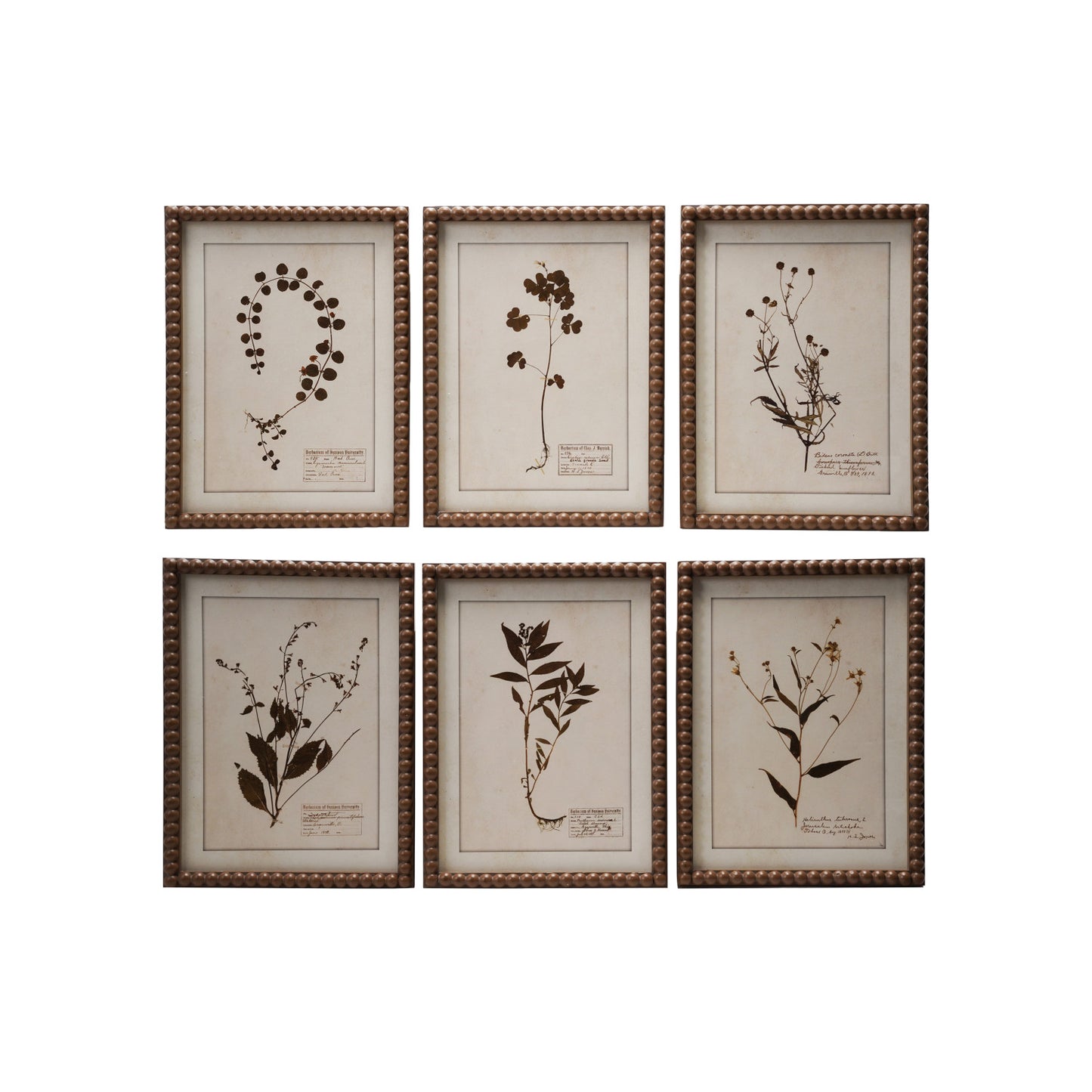 Framed Glass Wall Décor with Botanical Print, 6 Styles