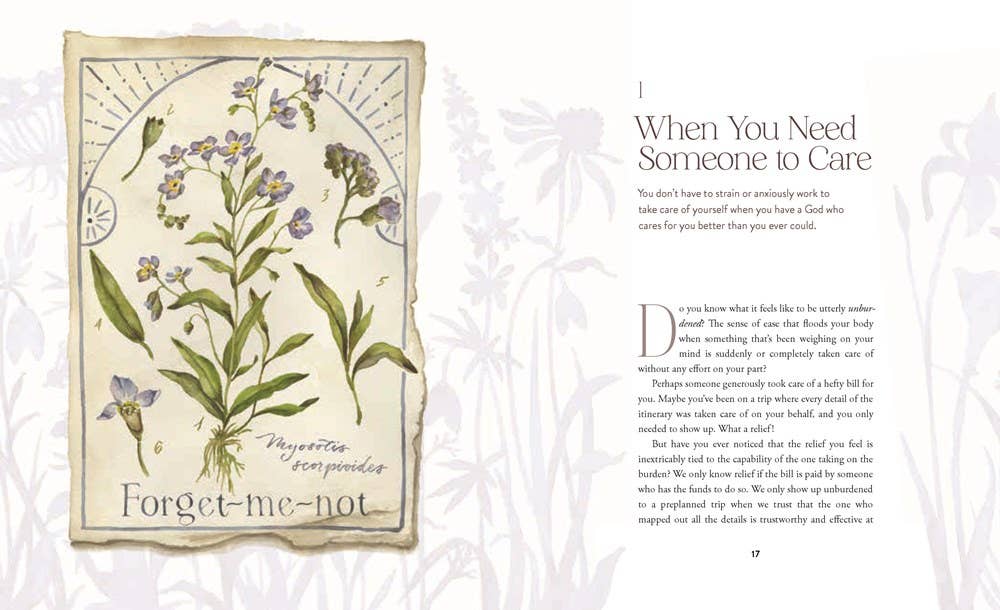 The Way of the Wildflower : Gospel Meditations to Unburden
