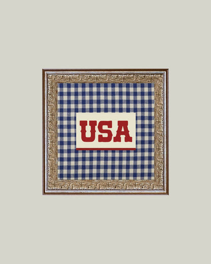 Plaid USA Framed Antique Art