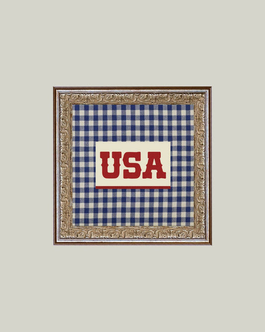 Plaid USA Framed Antique Art