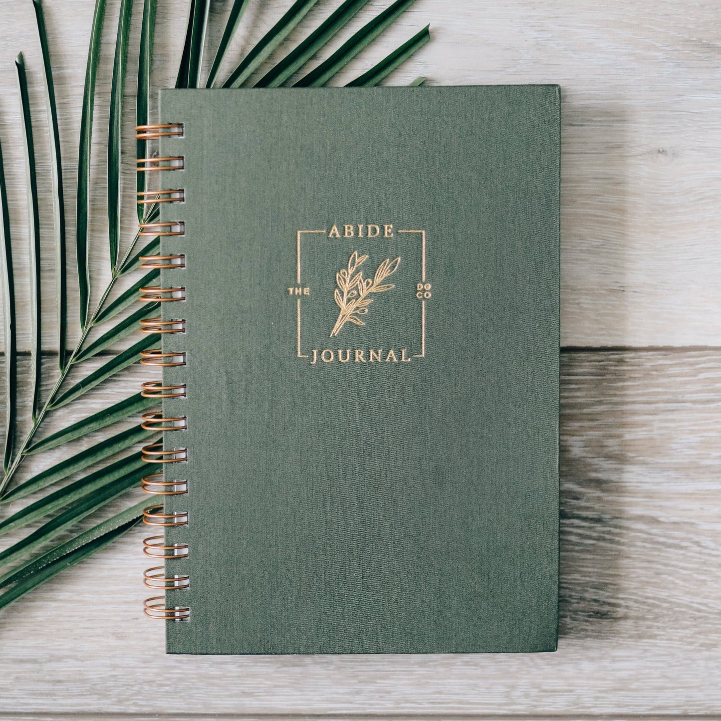 The Abide Journal